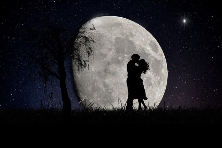 Moonlit Lovers